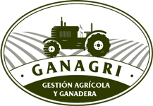 logo_2019